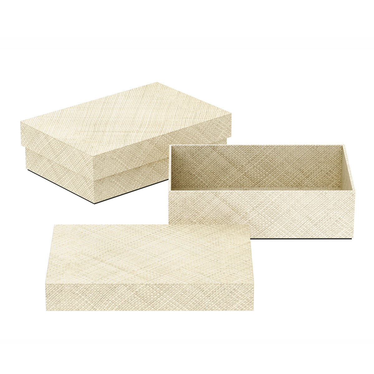 Large Rectangle Box - Pandan - Signature Collection