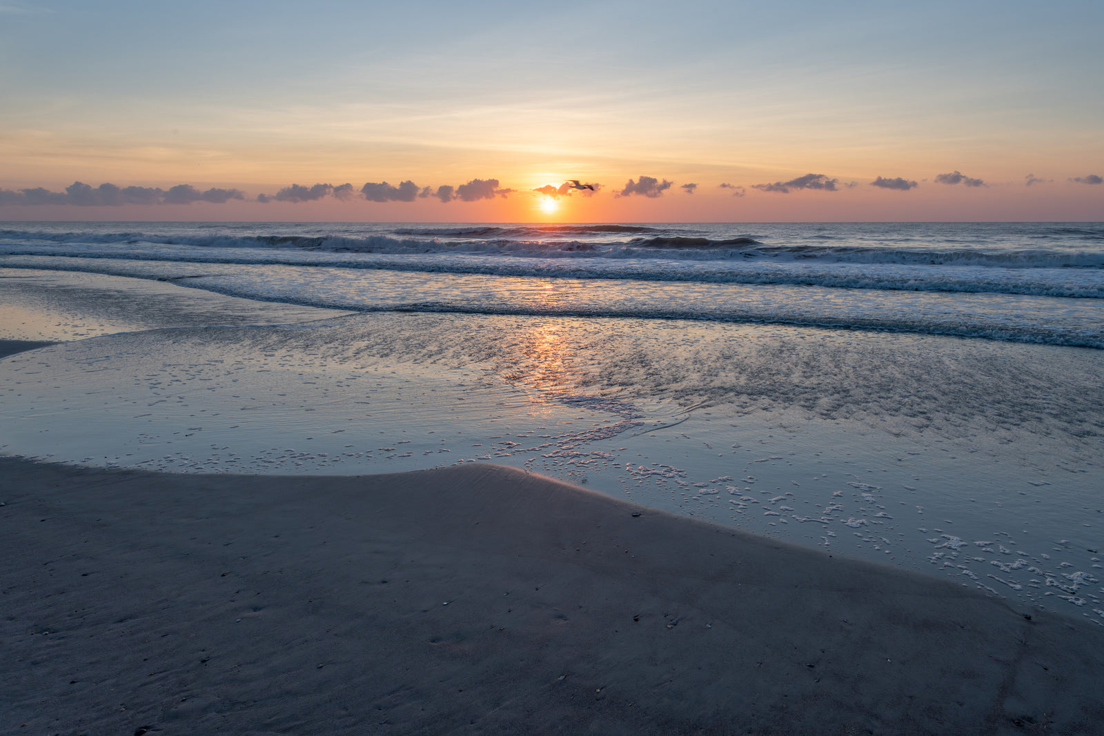 Ritz-Carlton Resort Amelia Island